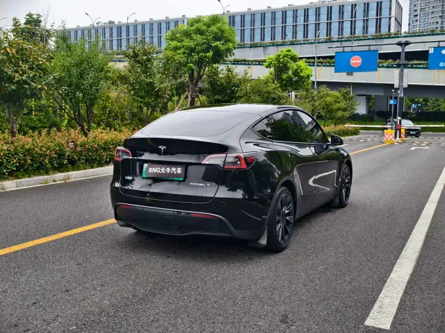 Tesla Model Y — Фото автомобиля 4