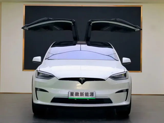 Tesla Model X — Фото автомобиля 2