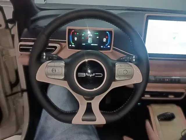 BYD Seagull — Фото автомобиля 10