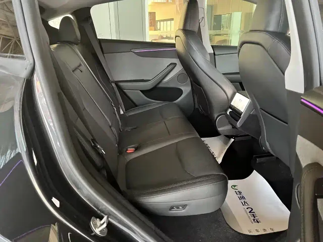 Tesla Model Y — Фото автомобиля 19