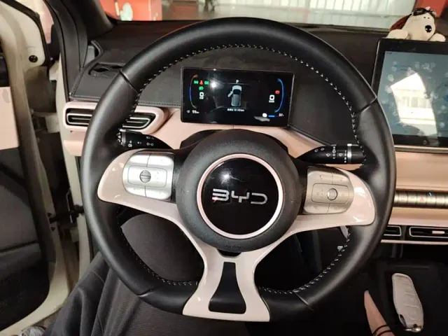 BYD Seagull 2025 305km Freedom — Фото автомобиля 10