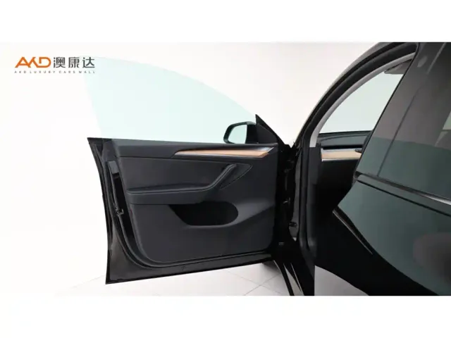 Tesla Model Y — Фото автомобиля 10