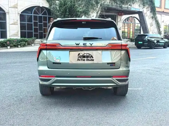Wey Lanshan — Фото автомобиля 5