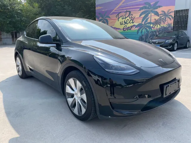 Tesla Model Y — Фото автомобиля 3