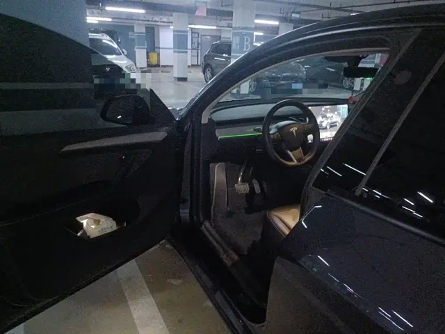 Tesla Model Y — Фото автомобиля 12