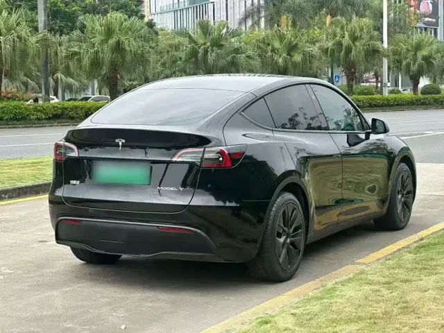 Tesla Model Y — Фото автомобиля 6