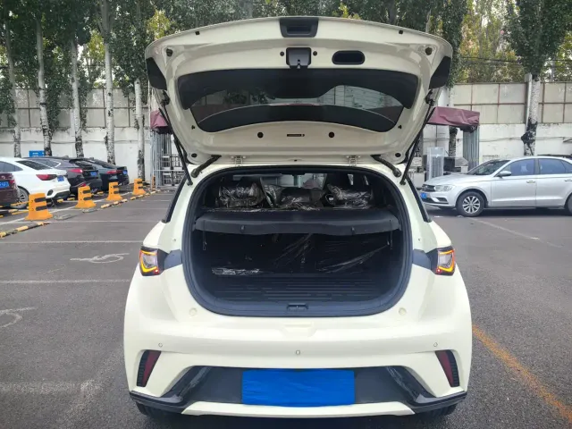 BYD Dolphin — Фото автомобиля 9