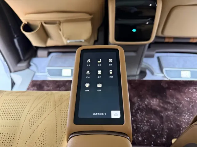 Denza D9 — Фото автомобиля 19