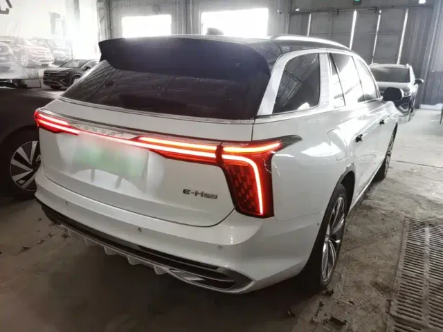 Hongqi E-HS9 — Фото автомобиля 6