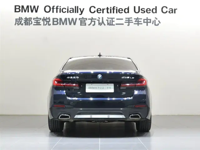 BMW 5 Series — Фото автомобиля 6