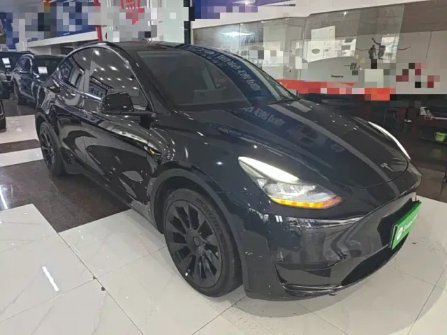 Tesla Model Y — Фото автомобиля 3