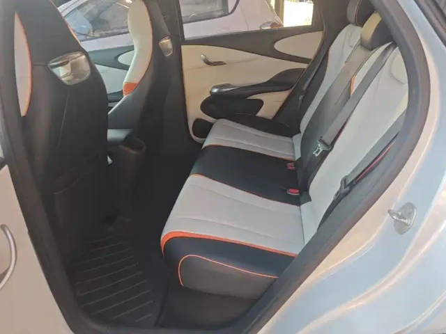 BYD Dolphin 2021 Model 405km Fashion Edition — Фото автомобиля 12