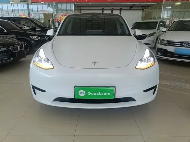 Tesla Model Y — Фото автомобиля 2