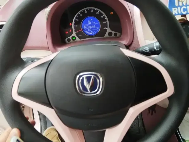 Changan Changan Benben E-Star 2021 National Edition Xinyi LFP (31.86kWh) — Фото автомобиля 14
