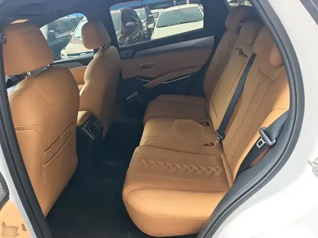 BYD Song L DM-i 2024 160km Excellence — Фото автомобиля 16