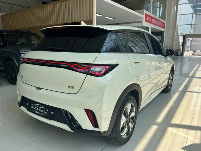 BYD Dolphin — Фото автомобиля 9