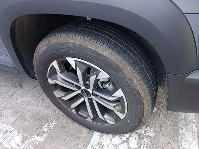 Haval Big Dog — Фото автомобиля 11