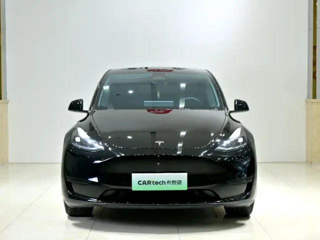 Tesla Model Y — Фото автомобиля 2