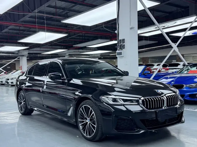 BMW 5 Series — Фото автомобиля 3