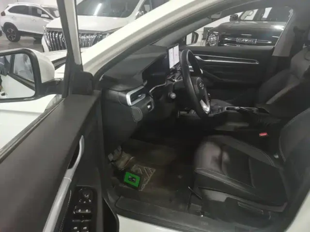 Geely Emgrand — Фото автомобиля 11