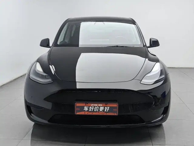 Tesla Model Y — Фото автомобиля 3