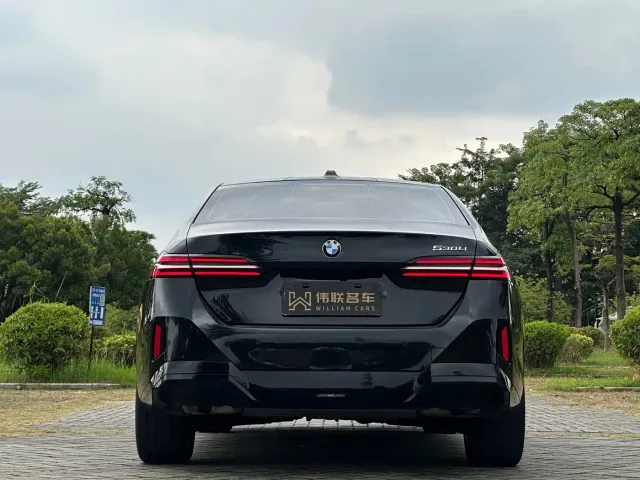 BMW 5 Series — Фото автомобиля 5