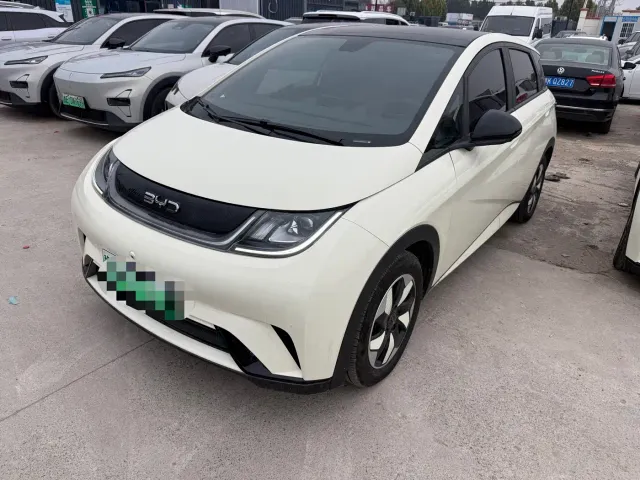 Фотография автомобиля — BYD Dolphin