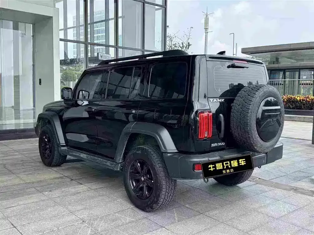 Tank Tank 300 2023 Off-Road Edition 2.0T Conqueror — Фото автомобиля 8