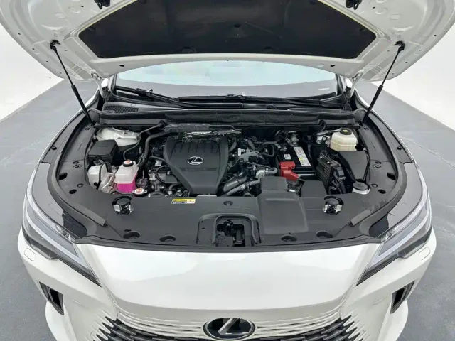 Lexus RX — Фото автомобиля 23