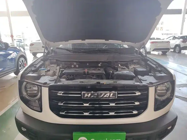 Haval Big Dog — Фото автомобиля 19