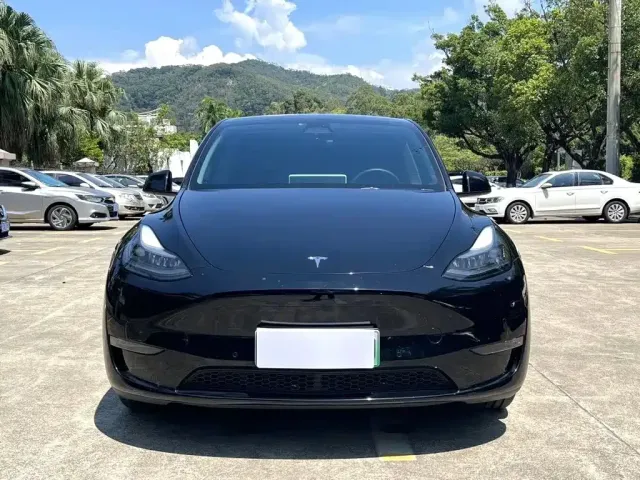 Tesla Model Y 2024 Long Range AWD — Фото автомобиля 2