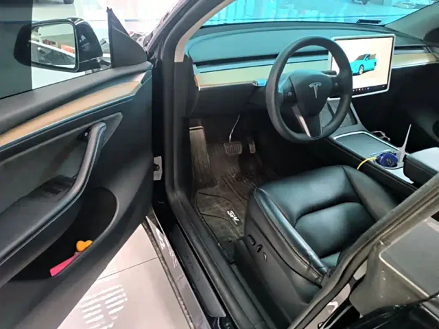 Tesla Model Y — Фото автомобиля 15