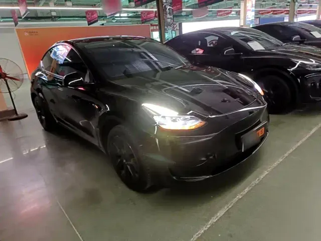 Tesla Model Y — Фото автомобиля 3
