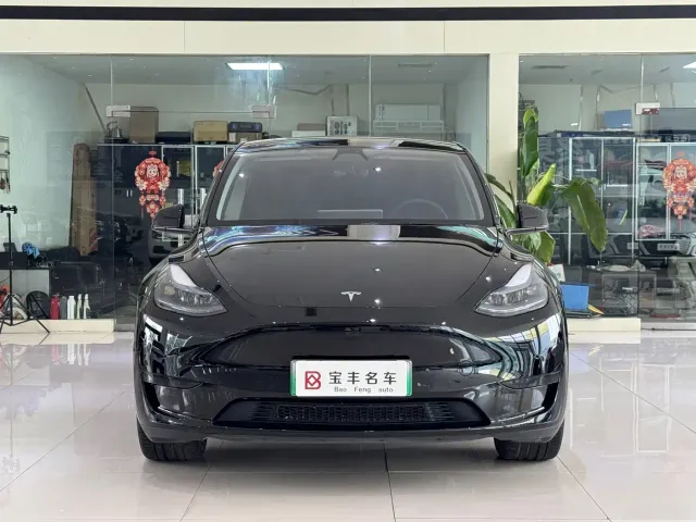 Tesla Model Y — Фото автомобиля 2
