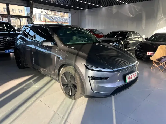 Tesla Model Y — Фото автомобиля 2