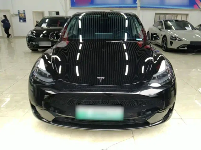 Tesla Model Y — Фото автомобиля 2
