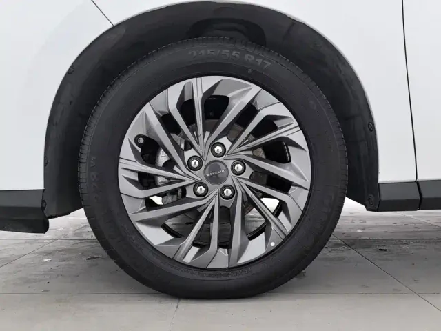 Maxus Dajia 5 — Фото автомобиля 17