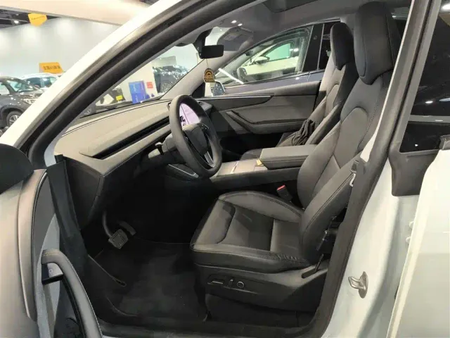 Tesla Model Y — Фото автомобиля 10