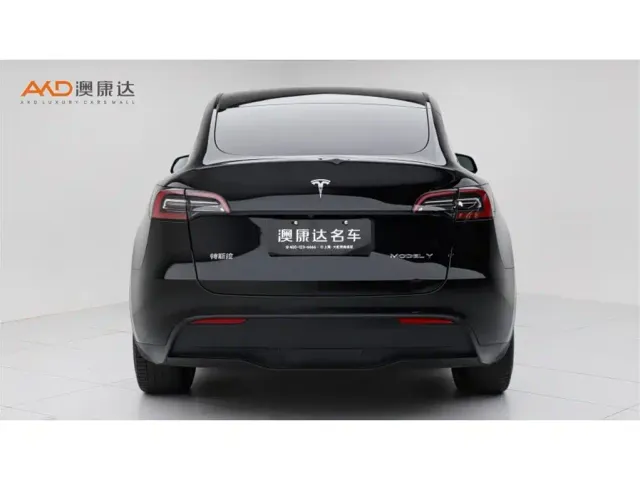 Tesla Model Y — Фото автомобиля 4