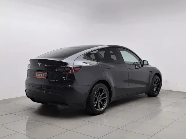 Tesla Model Y — Фото автомобиля 2