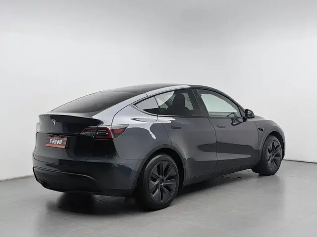 Tesla Model Y — Фото автомобиля 2