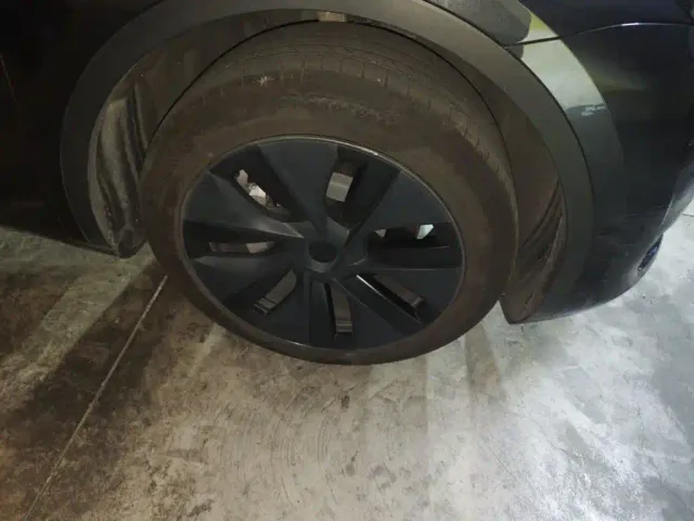 Tesla Model Y — Фото автомобиля 25