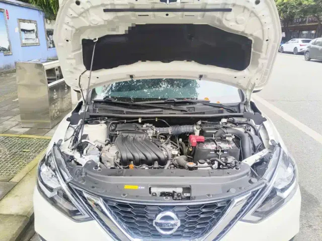 Nissan Sylphy — Фото автомобиля 3