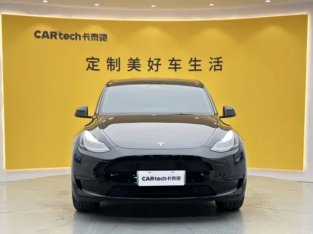 Tesla Model Y — Фото автомобиля 2