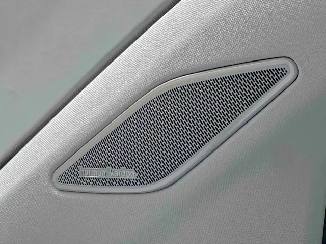 Volkswagen Talagon — Фото автомобиля 15