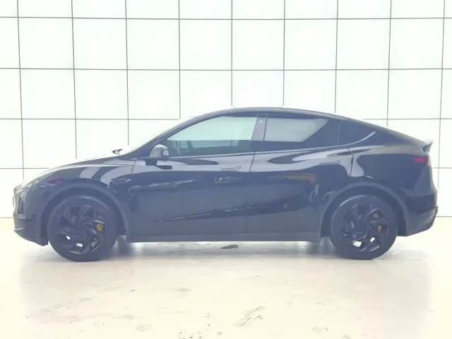 Tesla Model Y — Фото автомобиля 15