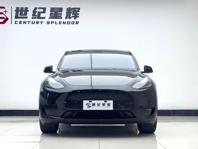 Tesla Model Y — Фото автомобиля 6