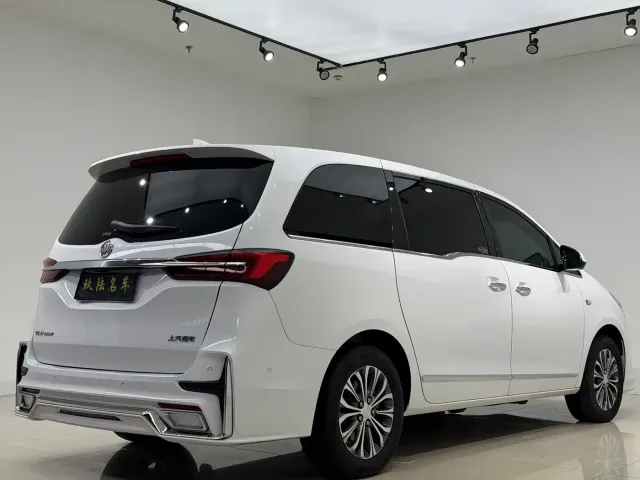Buick Buick GL8 2022 Land Business Class 652T Smart Prestige — Фото автомобиля 19