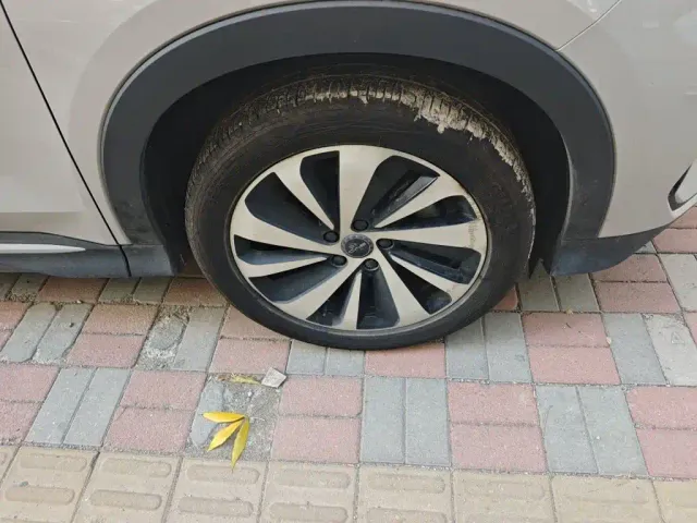 BYD Song PLUS — Фото автомобиля 8