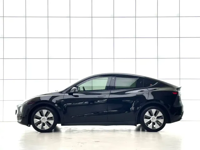 Tesla Model Y 2021 Standard Range Rear-Wheel Drive — Фото автомобиля 10
